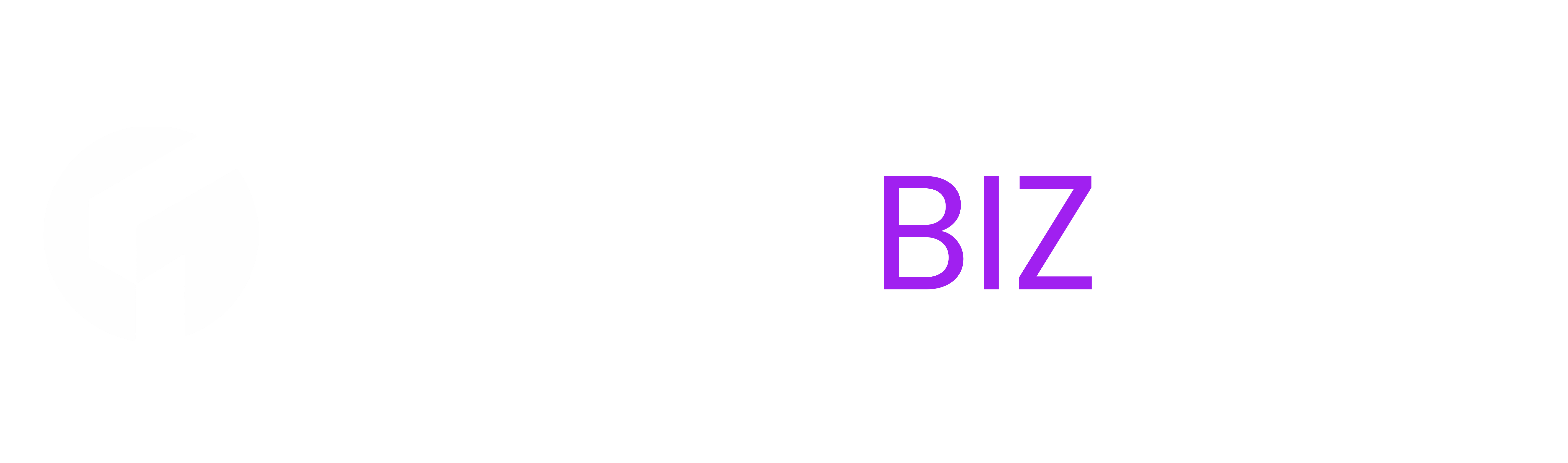 Tonex Bizcorp